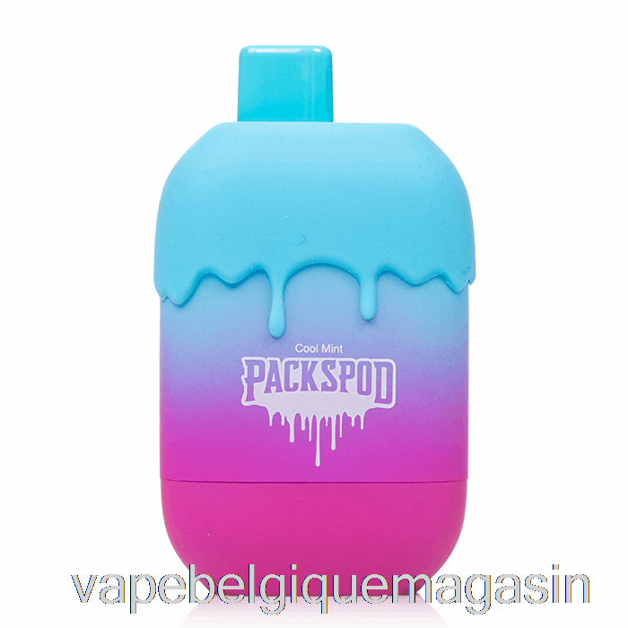 Vape Shop Bruxelles Packwood Packspod 5000 Gelato Jetable (menthe Fraîche)